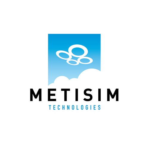 Logo for public security software company