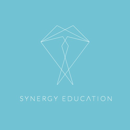 synergy education