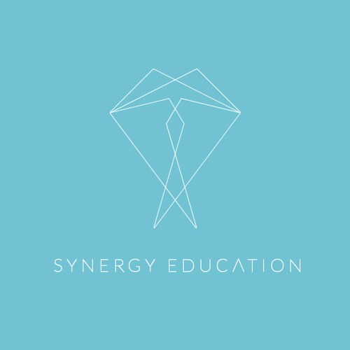 synergy education