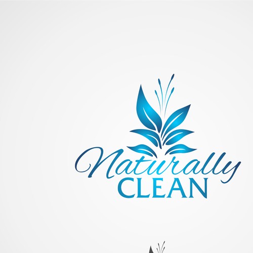 Naturally Clean needs a new logo