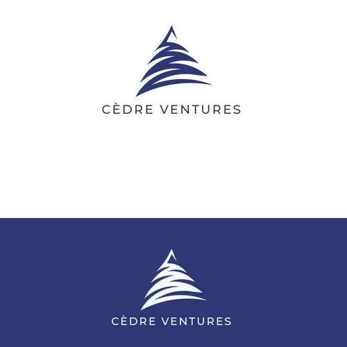 CEDRE VENTURES