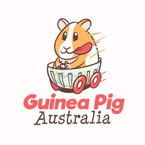 Guinea Pig Australia