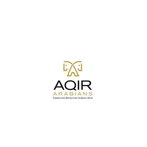 AQIR Logo