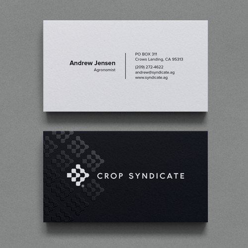 Minimalist Business Card Design