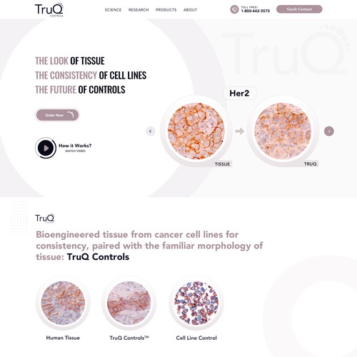 TurQ