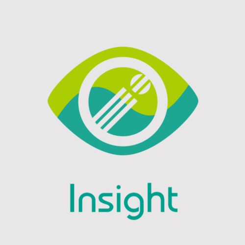 Insight-Icon
