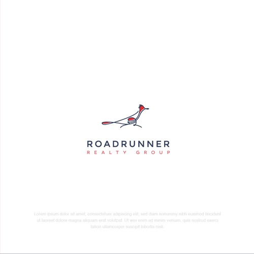 roadrunner realty group