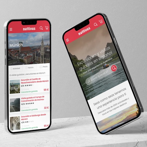 Diseño web Nattivus
