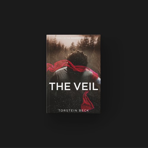 the veil book cover