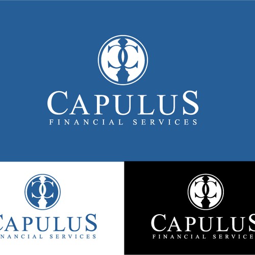 Logo concept for financial services company. 