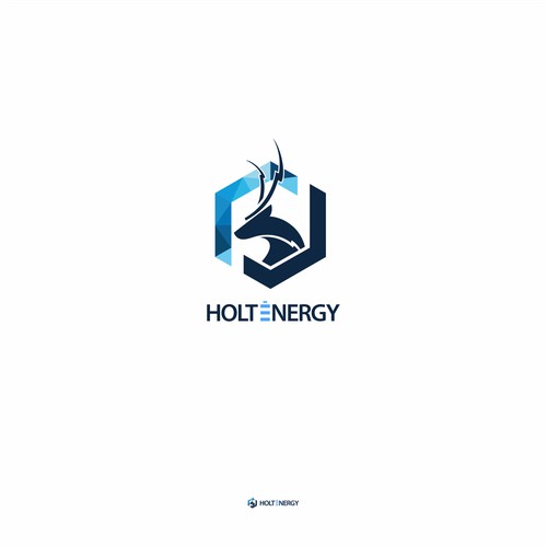 Holt Energy