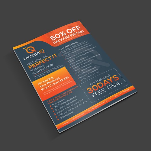 IT Consulting Firm Print flyer design