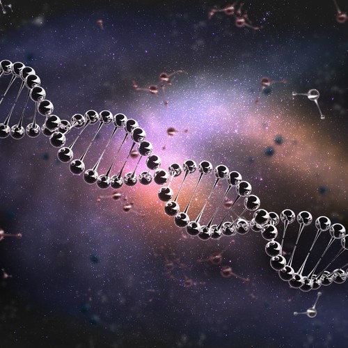 DNA Double Helix 