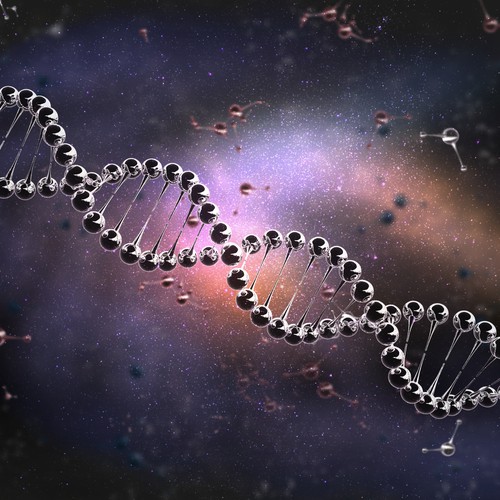 DNA Double Helix 