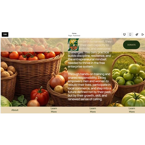 Squarespace Website, Domain Migration & Setup