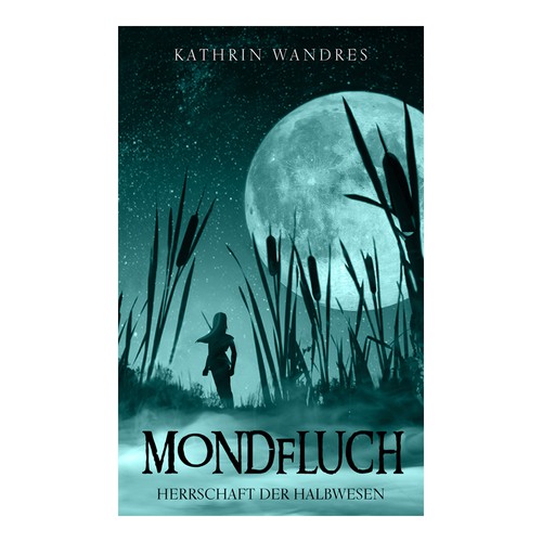 Striking cover for young adult fantasy novel