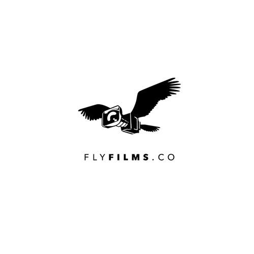 Drone Company specializing in photos and cinema photography needs a killer logo.