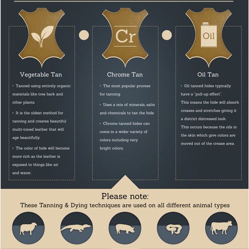 Infographic for a unique retail leather skins business looking to educate their customers