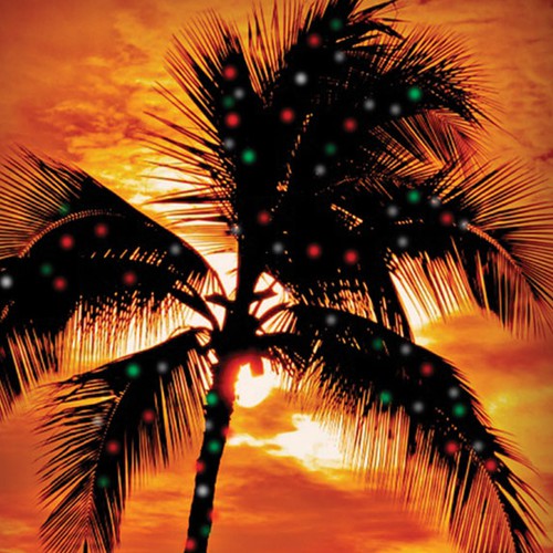 Design a Holiday card for a Hawaiian Company