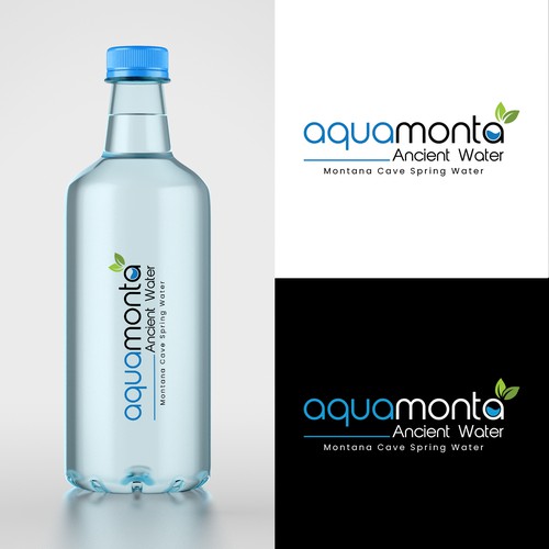 Logo design for mineral water company 