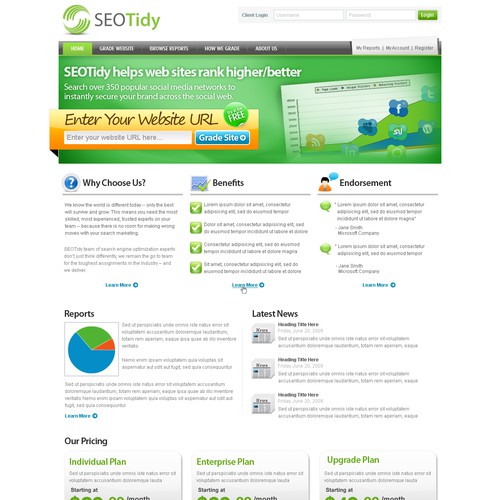 SEOTidy home page | A fast, easy and valuable tool for SEO