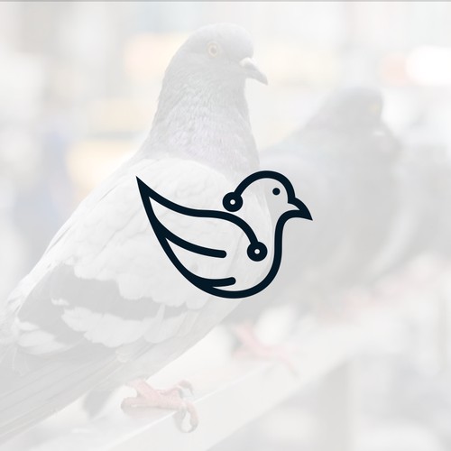 Pigeon logo for IoT Tech Startup!