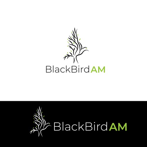 black bird AM