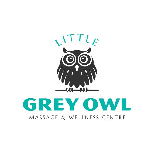 Illustrative owl logo
