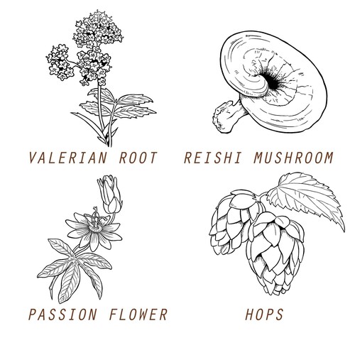 Clean graphics / sketches for various different Herbs