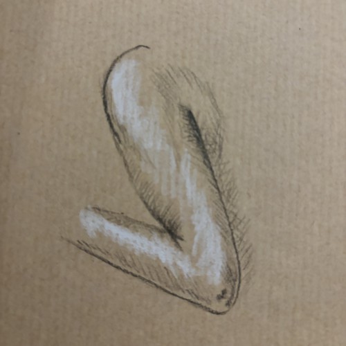 Harm Pencil draw