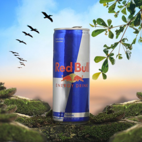 RedBull Banner ads