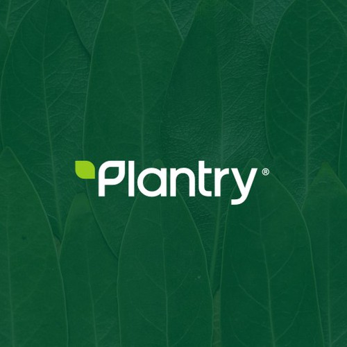 Modern Geometric Wordmark Design for Plantry, a plant based meal company.