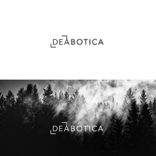 Logo concept for Photographer.