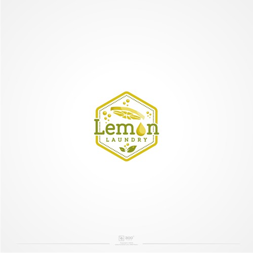 Logo concept for laundry business