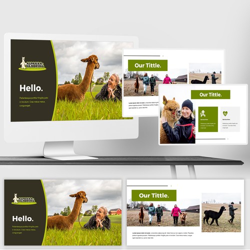 Business presentation of alpaca experiences