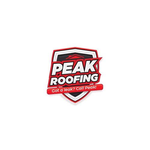 Roofing and Gutters Services