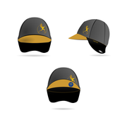 Reviewed design