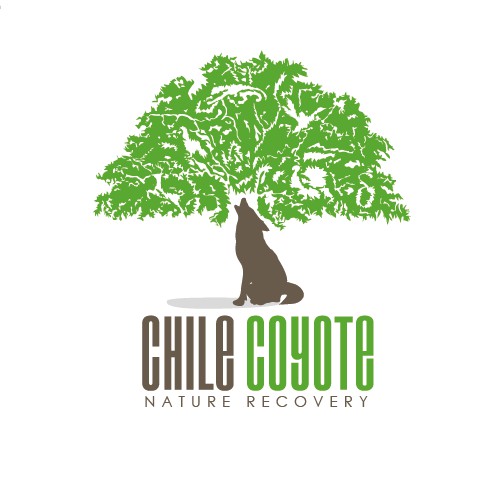 Create the next logo for Chile Coyote Wildlife Preserve