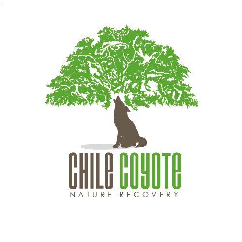 Create the next logo for Chile Coyote Wildlife Preserve