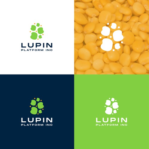 Lupin Platform Inc Logo