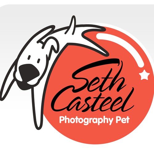 New logo wanted for Seth Casteel - Underwater Dogs Photographer