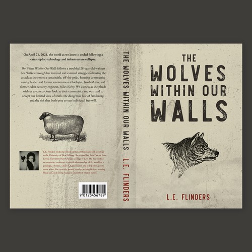 Book cover for a fiction novel
