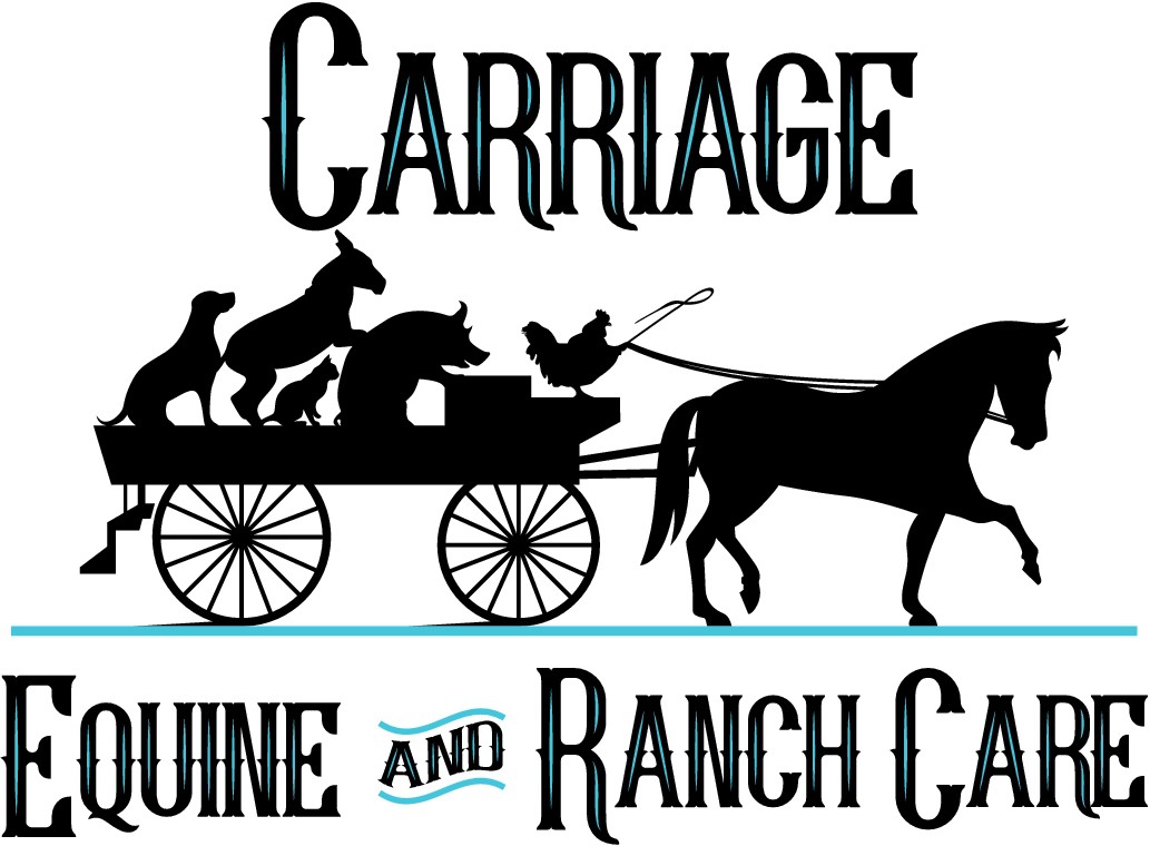 Design an elegant yet playful design for an animal care service