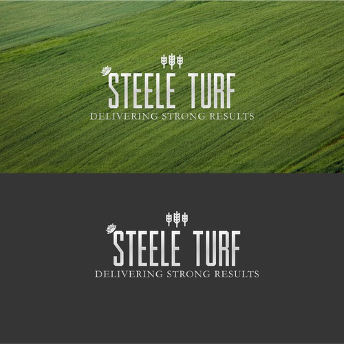 STEELE TURF 1