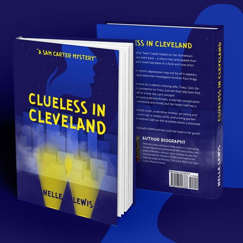 New Mystery Series Book Cover