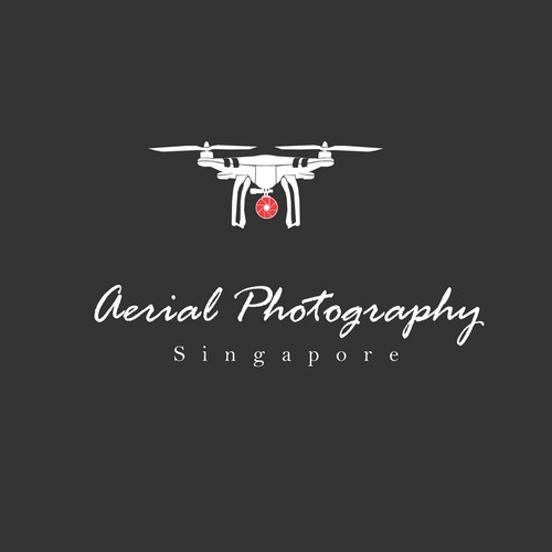 Create a stunning logo for an aerial photography business