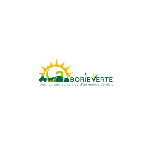 BORIE VERTE