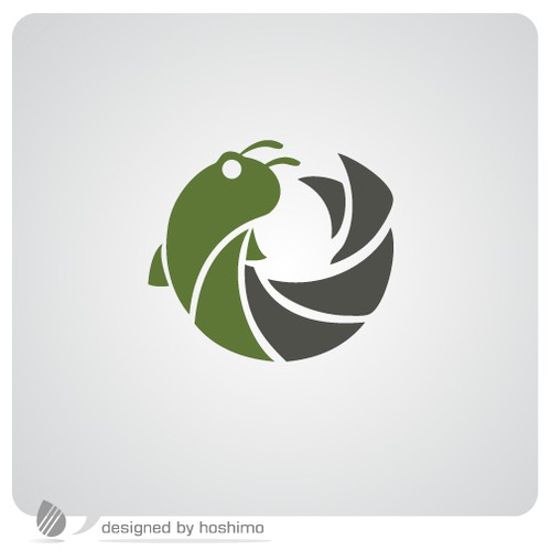 Logo for sports, nature, travel, photography company