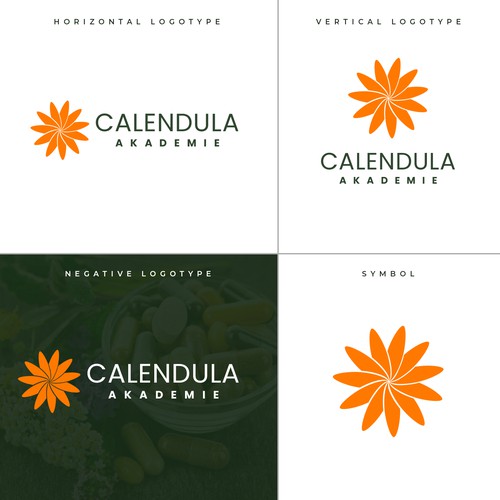 Modern and Responsive Logo