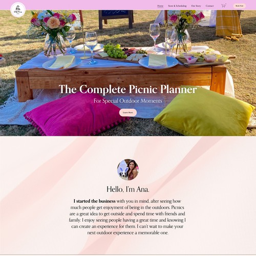 DFW Picnics